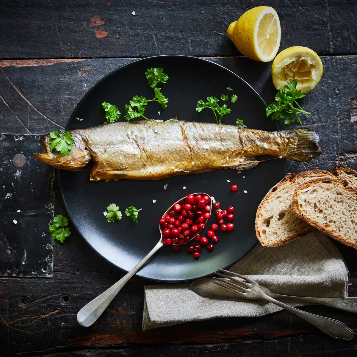 Borniak Räucherofen Simple UWD-70 Version 1.4 2 Borniak Räucherofen Simple UWD-70 Version 1.4 – Bild 2